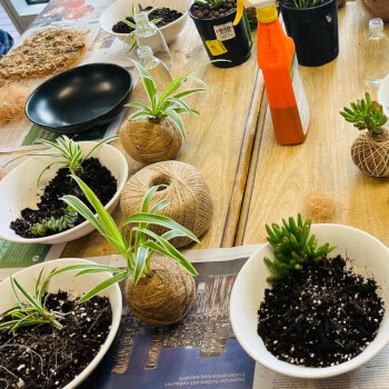 Make your new plant friend a new home