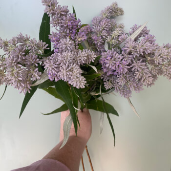 Conditioning the flowers