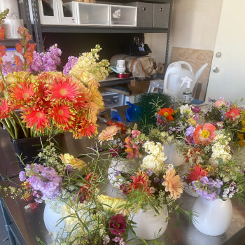 Making your arrangement