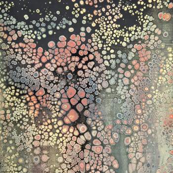 Watch the cells appear (with no oil)