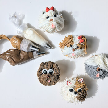 Arrive and Get Excited