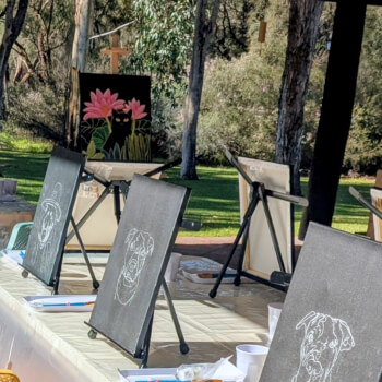 Arrive and spot your pet