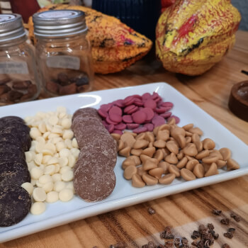 chocolate tasting