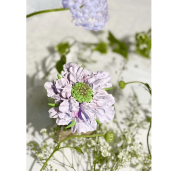 An example of flower piping