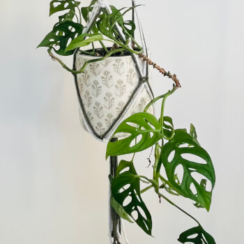 Admire Your Hanging Garden