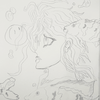 Refining Your Sketch