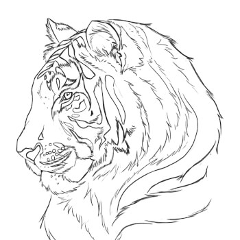 Hand-sketched outline
