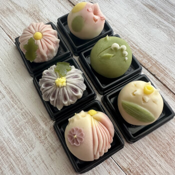 Presentation and Photography