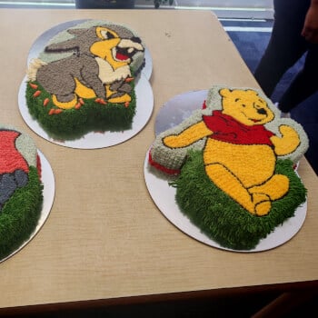 Character Cake lesson