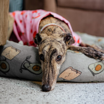 Supportive surroundings