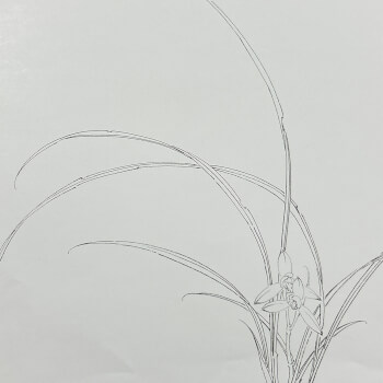 Ink line drawing