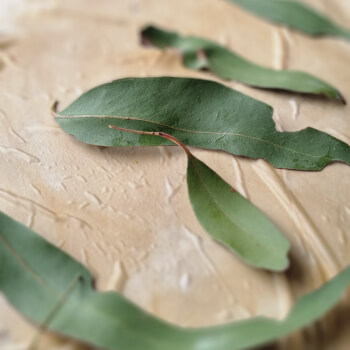Mindfully arrange foliage 