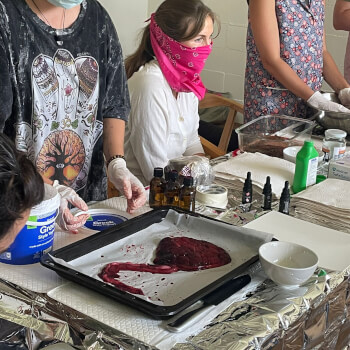 Placenta Art e Medicine