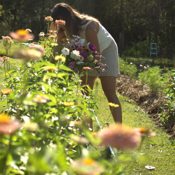 Wander the flower rows