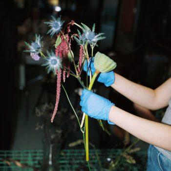 Flower Selection