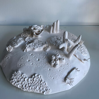Coral Reef Sculpture 