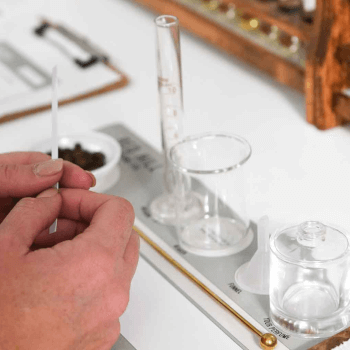History of perfume