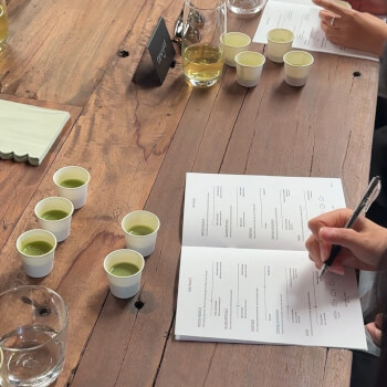Guided matcha tasting