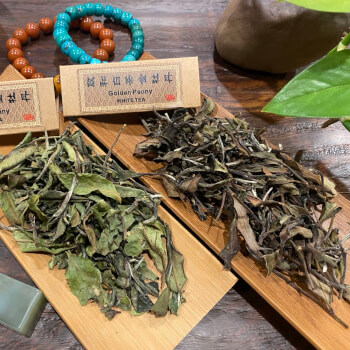 Fresh tea and aged tea