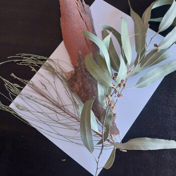 Choose your botanicals