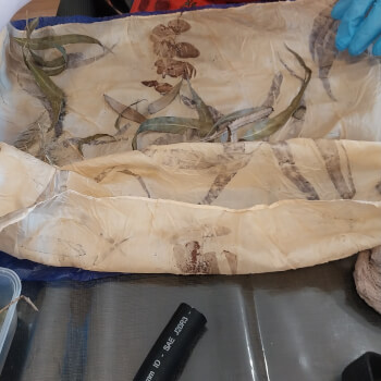 Unwrap to reveal