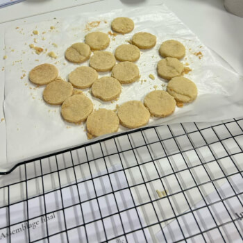 Preparing the sponge base and praline