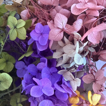 Meet the Blooms