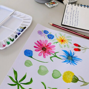 Watercolour basics