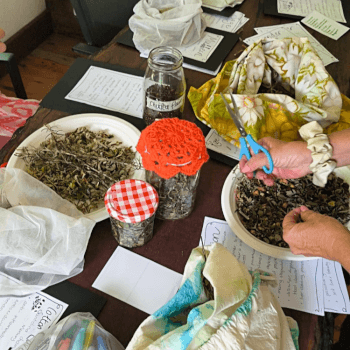 Selecting and preparing tea