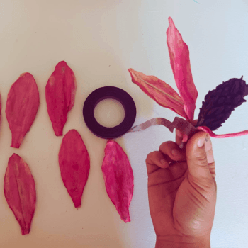Attach your petals