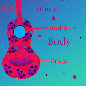 Parts of the Ukulele
