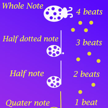 Note lengths and names