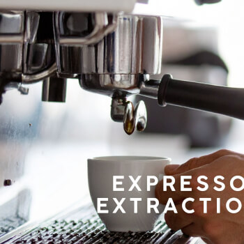 Espresso Extraction