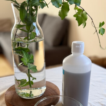 Simple and inexpensive ingredients 