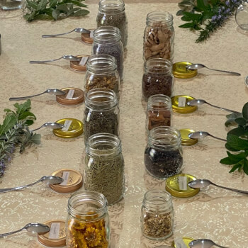 Welcome to Your Herbal Tea Blending Experience