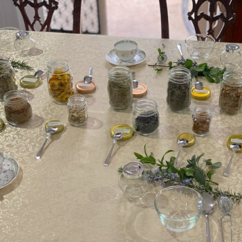Explore the World of Herbal Ingredients