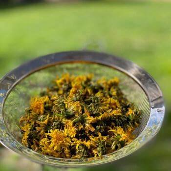 Learn the Art of Seasonal Herbal Preparation