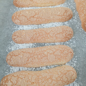 The Ladyfinger Biscuit