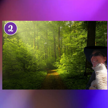 Step 2 - Intuition
