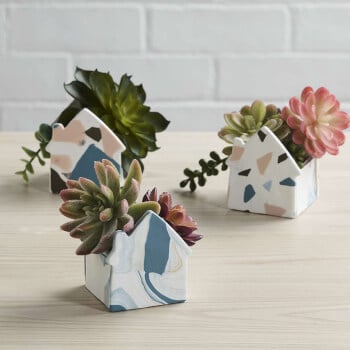 House pencil caddy or plant holder 