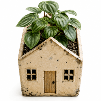 House planter