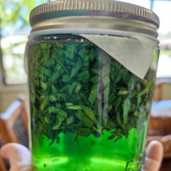 Watch the Apothecary Magic