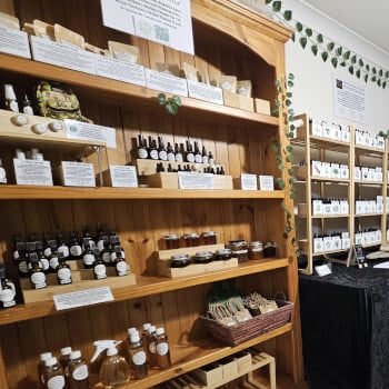 Discover Your Herbal Toolkit