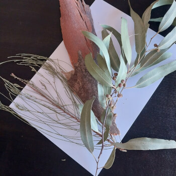 Choose Your Botanicals