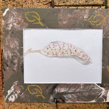 Decorating a frame