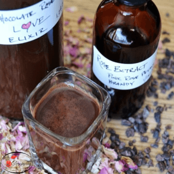 Chocolate Love Elixir