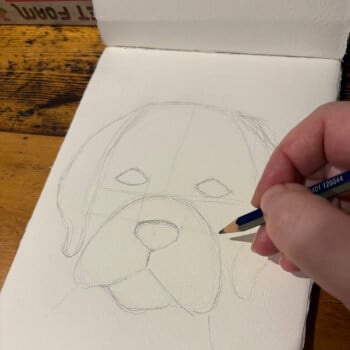 Sketch out our dogs face