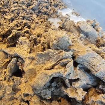 Preparing the tools and materials for your paper mache projects