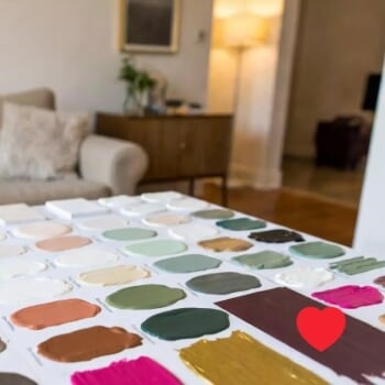 Choose Your colour palette 