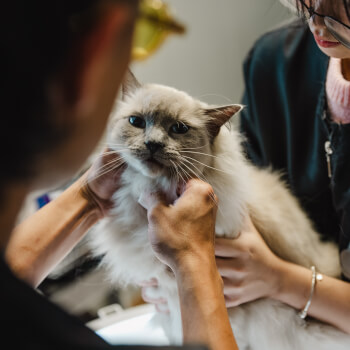 Nail clipping